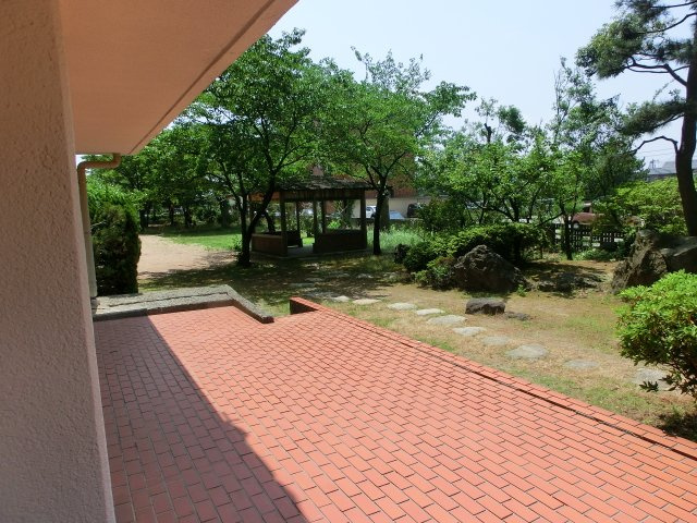 マンション青山カメリアのその他|公園