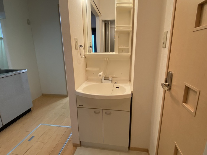 セジュールＭ３の洗面所