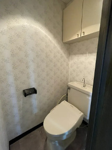 ライオンズマンション南春日部のトイレ|落ち着いたトイレです