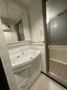 ライオンズマンション南春日部の独立洗面台|朝の支度にも助かる、独立の洗髪洗面化粧台