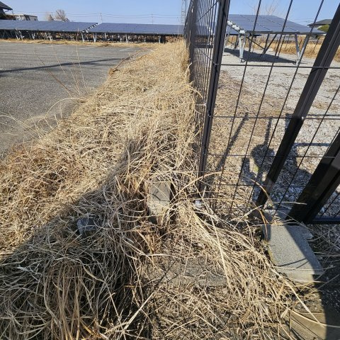太田市尾島町256-4,142-6の外観