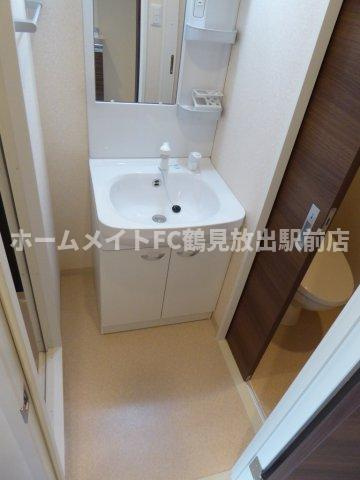 Luxe緑橋の洗面所