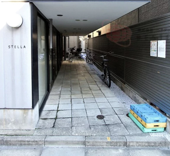 ステラのエントランス