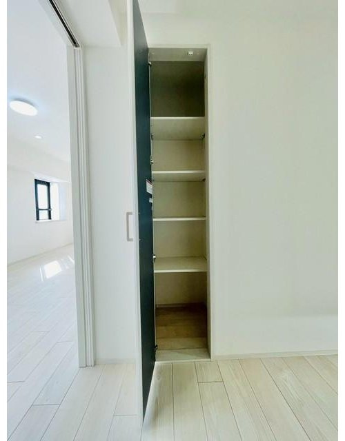 ライオンズマンション川口飯原町の収納|たっぷりとした収納スペースです