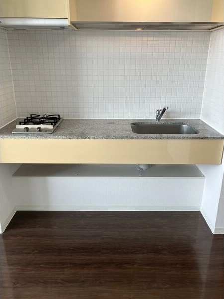 白川公園パークマンションのキッチン