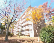 泉北城山台三丁11号棟の画像