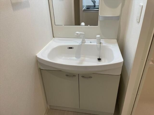 ライジングプレイス亀戸の洗面所