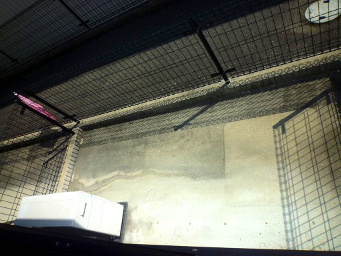 【庭】 | Ariavita | ※イメージ　同物件別号室の写真