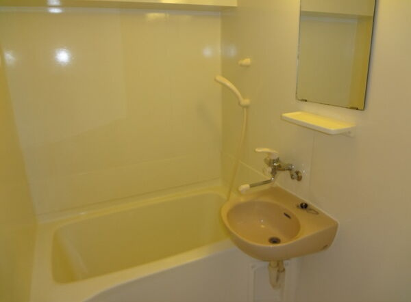 コーポ田中の洗面所