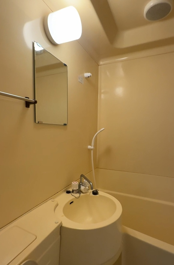 パイン・ハイムⅢの洗面所