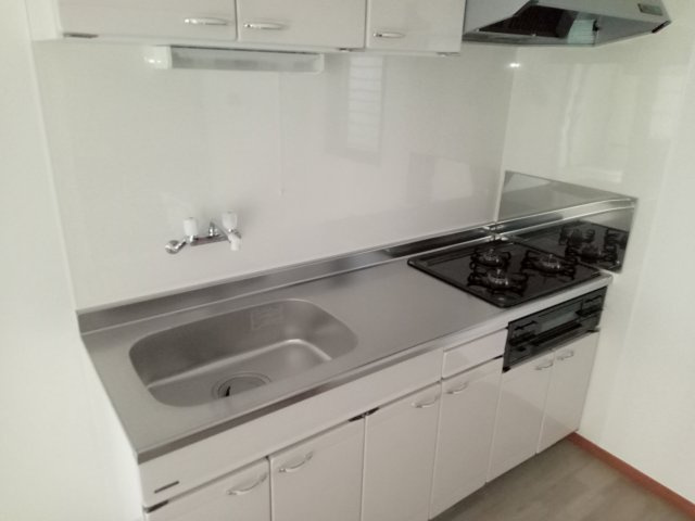 川崎市多摩区生田１丁目の賃貸マンションのキッチン