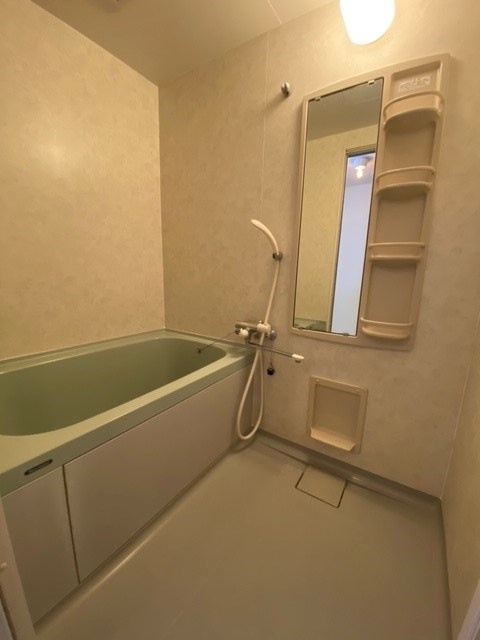 ライオンズマンション清住の浴室