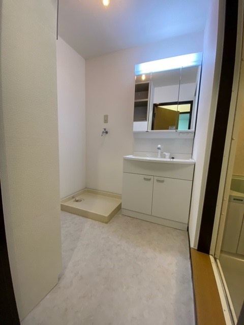 ライオンズマンション清住の洗面所