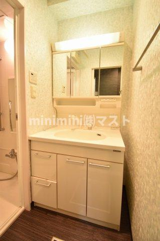 ジューム南船場の洗面所