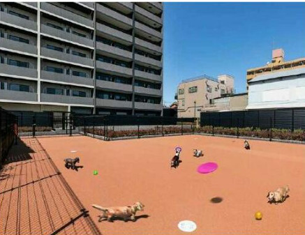 フュージョナル東墨田の設備|ペット共用部