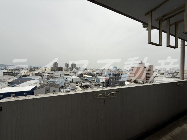 ニュープリーメルの展望