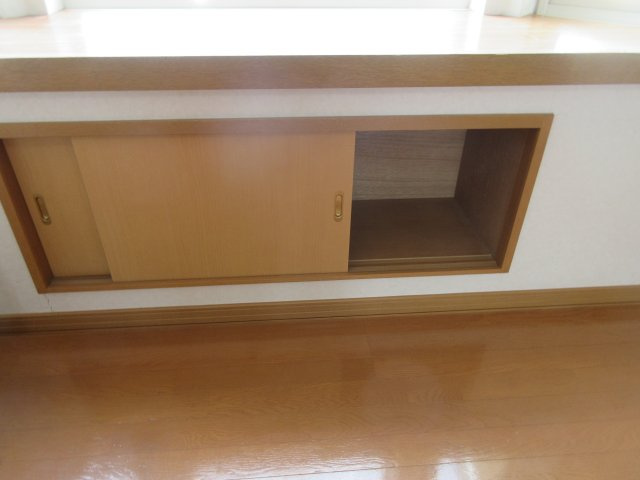 Ysフィールドの収納