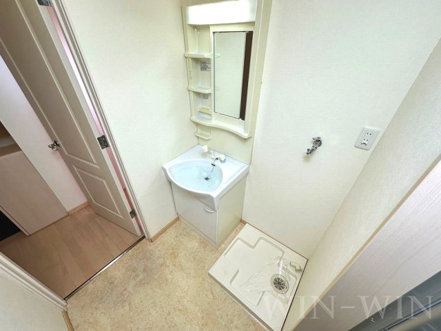 メゾンドスリーゼの洗面所