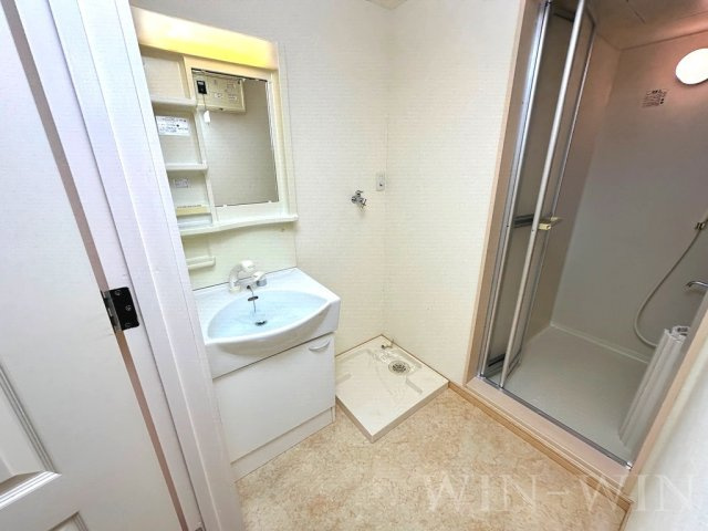 メゾンドスリーゼの洗面所