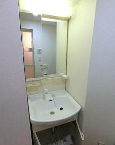 ヒューマンハイム蔵前の洗面所