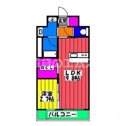 【間取り】 | ＡＬＦＡＣＩＯ　ＬＡＶＩＥＳＴの間取り