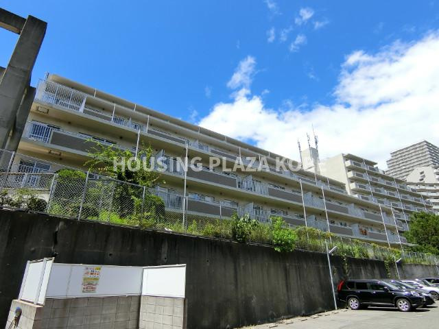 シティ南落合の外観