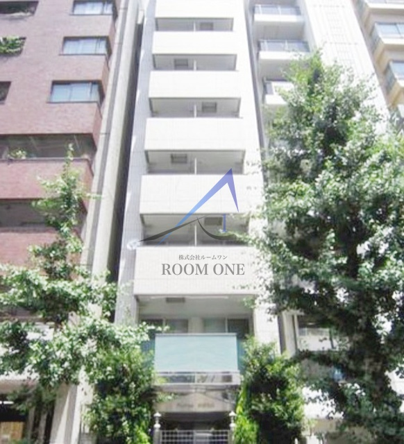 プルナスお茶の水