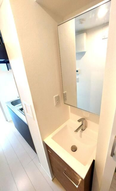 Ｌｉｒｉｏ　Ｈｏｒｉｋｉｒｉ（リーリオ堀切）の洗面所