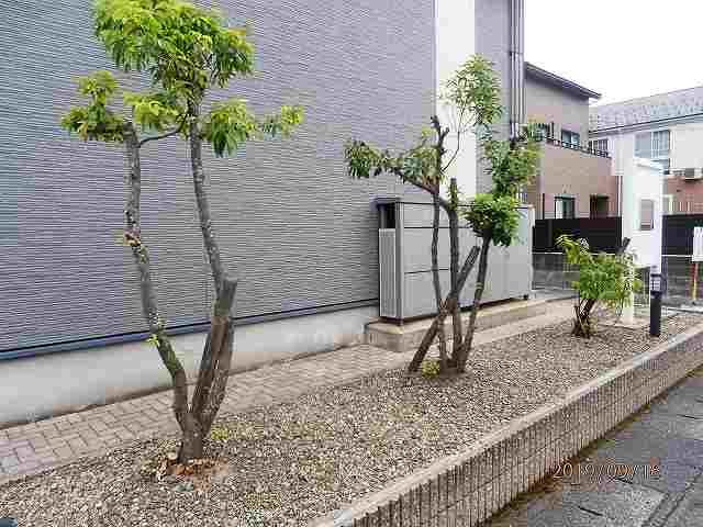 レオパレス睡蓮のその他