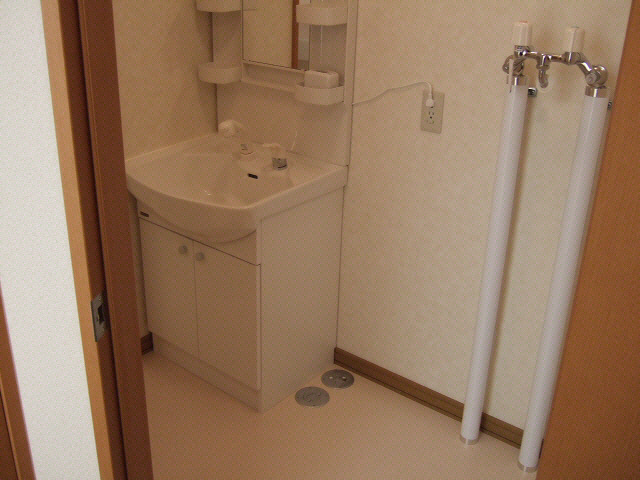 エミール壱番館の洗面所