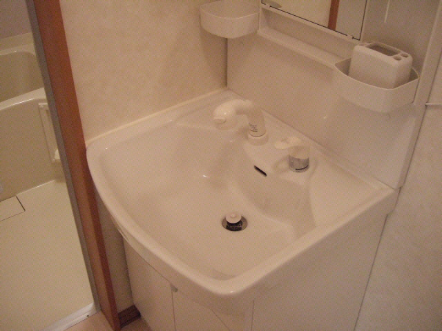 エミール壱番館の洗面所