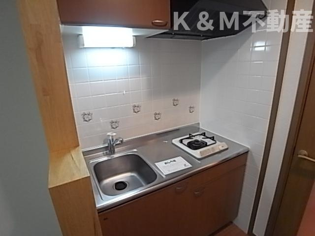 グランデ・パラーシオのキッチン|お料理しやすいキッチンです