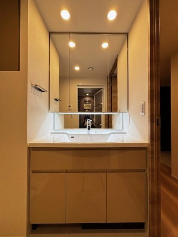 ローレルタワー堺筋本町の洗面所