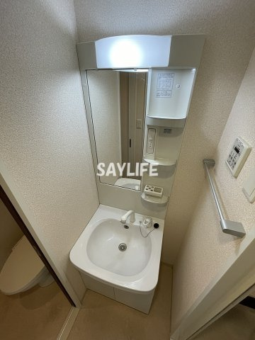 Luxe緑橋の洗面所