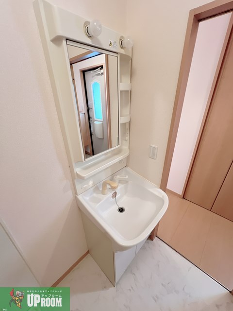 ポラリス Y・S Aの洗面所