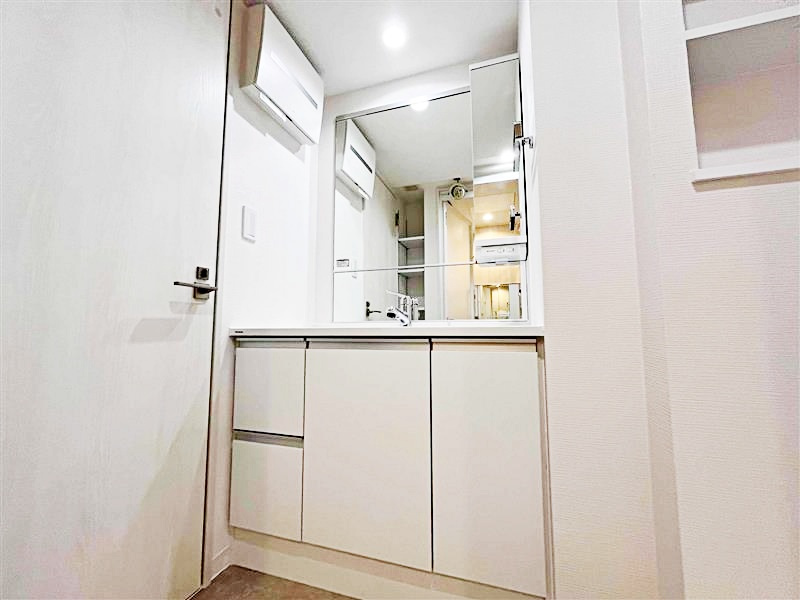 サンクタス横濱三ツ沢公園の独立洗面台