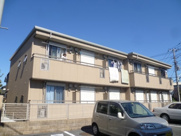 プルメリアの画像