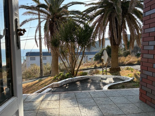 下田市　白浜のその他