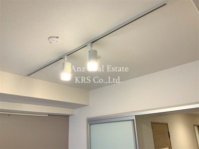 【その他】 | ネットフローラ立売堀 | ピクチャーレール、照明器具があります！