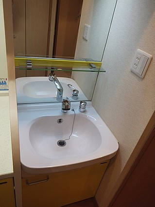 プレサンス神戸駅前グランツの洗面所