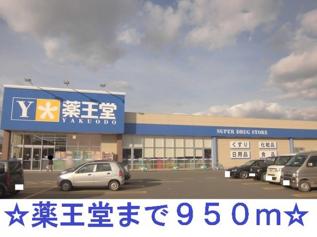 ジャンティユレヴェＤの周辺|薬王堂まで950m