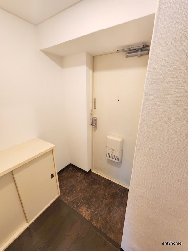 メゾンサクラ9　仲介手数料無料の玄関