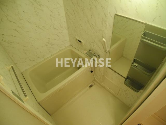 グランディール高来の浴室