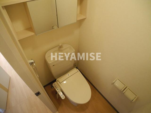 グランディール高来のトイレ