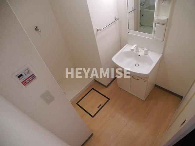 グランディール高来の洗面所