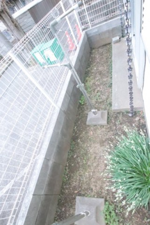 庭