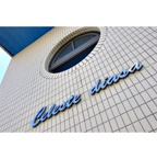 セレステ　ディオーサの画像