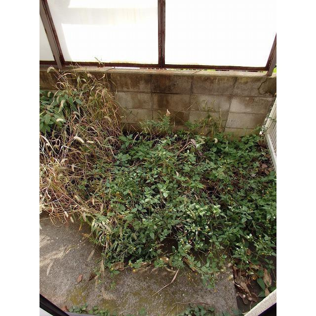 サニーハイムのバルコニー|テラス