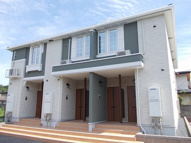 コニファーの画像