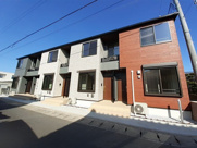 ステラ１－ＭＹの画像